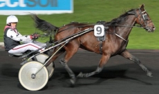 Stitch du Rieutort