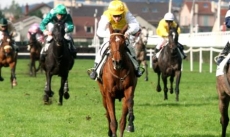 Danastar