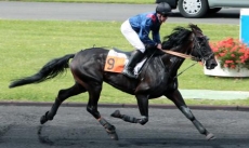 Picsou de Villabon
