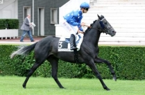 Kenmour