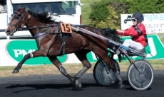 Paco du Manoir