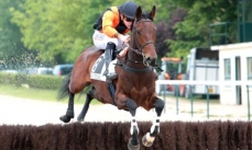 Prince du Pin