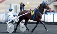 Saphir d'haufor