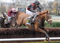 Diamant de Beaufai