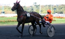Quilien d'Isques