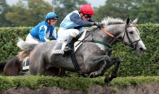 Saturne Collonges