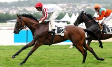 Don Fanucci