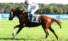 Le Roi Mage