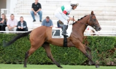 Quirinus