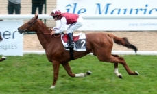 Emblazon
