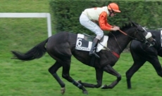 Opale Jolie