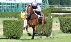 Fugue Royale