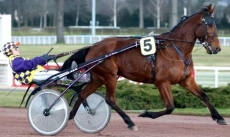 Quepi des Caillons