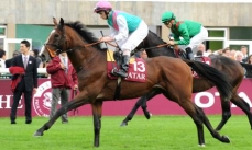 Workforce