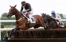 Tosca de Coddes