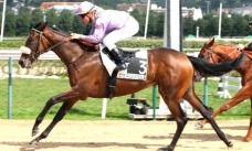 Ana Style