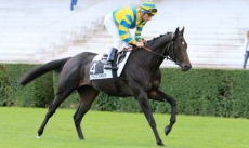 King David
