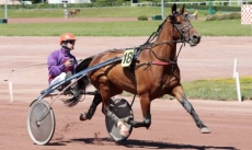 Neops Rivelliere