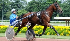Sancho Turgot