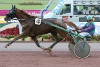 Nitesco d'Antony