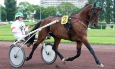 Roc de Montfort