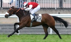 L'Astina
