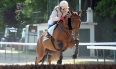 Houston du Berlais