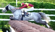 Melcastle
