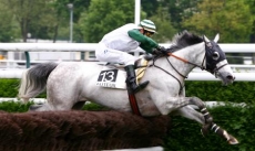 Quolibet