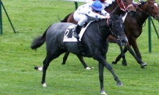 Aglaia