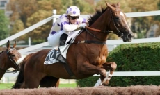 Mystic Desir