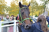 Countrystar
