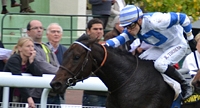 Gran Kaldoun