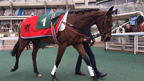 Milord Thomas