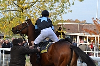 Mister Jarn
