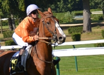 Quenio du Luat