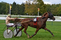 Quick la Ravelle