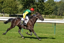 Rasta du Pont