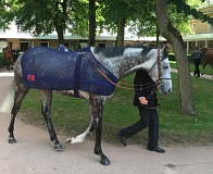 Solow