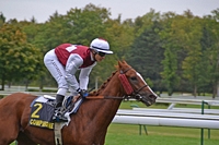 Zillion Dollar Cup