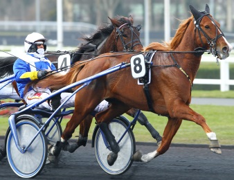 Nesta Effe