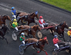 Half Half triomphe dans le Quinté+ du 30 avril à ParisLongchamp — image 6